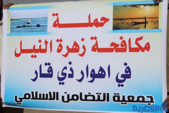 جمعيتعلن اطلاق اول حملة تطوعية لمكافحة زهرة النيل -تقرير مصور -
