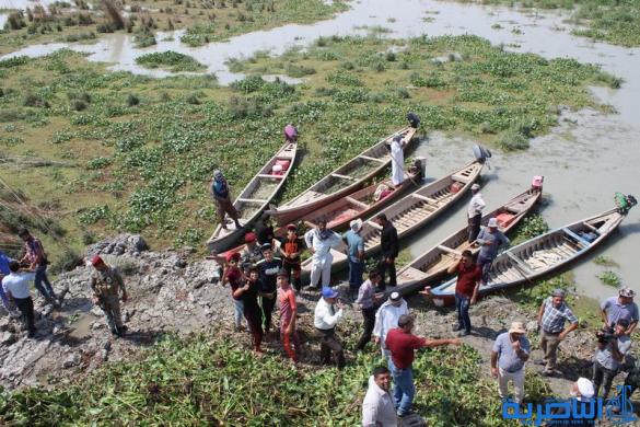 استجابة لنداء الوزير ، العشرات يتطوعون لاستئصال زهرة النيل في ذي قار
