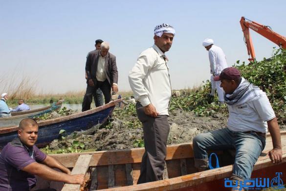 جن اطلاق اول حملة تطوعية لمكافحة زهرة النيل -تقرير مصور -