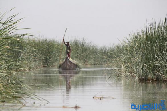  الاصلاح .. ملف الاهوار لا يجب ان يبقى حكرا بيد قضاء الجبايش