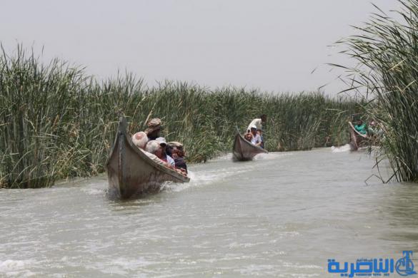 لجنة الزراعة النيابية تبحث مع وزير الموارد المائية سبل النهوض بملف الاهوار