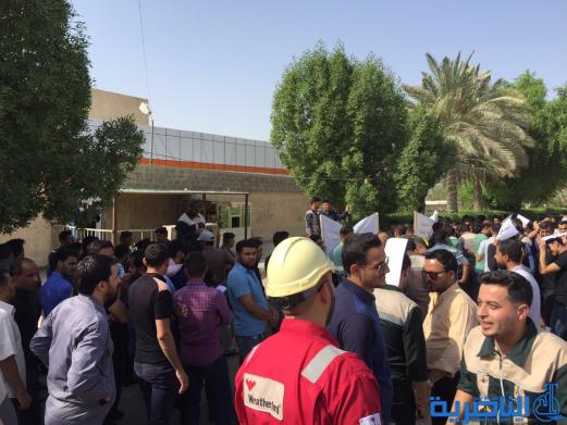 المتعاقدون والاجراء في كهرباء الناصرية يتظاهرون للمطالبة باطلاق رواتبهم - تقرير مصور - 