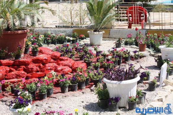 افتتاح معرض الزهور الثالث في الناصرية بالتزامن مع اعياد الربيع - تقرير مصور -