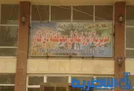 بغداد تقر الخطة الزراعية الصيفية في ذي قار بعد تقليص حصتها من الشلب