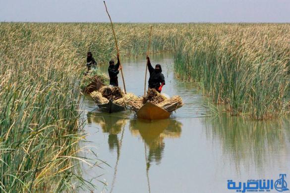 بغداد تكشف عن حزمة مشاريع جديدة لاهوار الناصرية ، ولكن !!