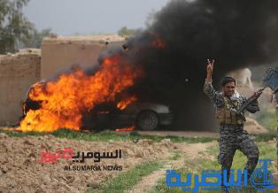بالصور.. العلم فوق العلم
