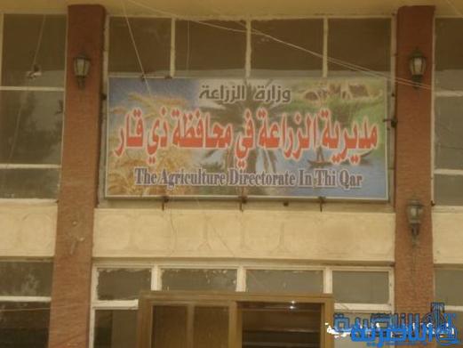  ذي قار تقلص خطتها الزراعية الصيفية المقبلة الى 131 الف دونم بسبب شح المياه
