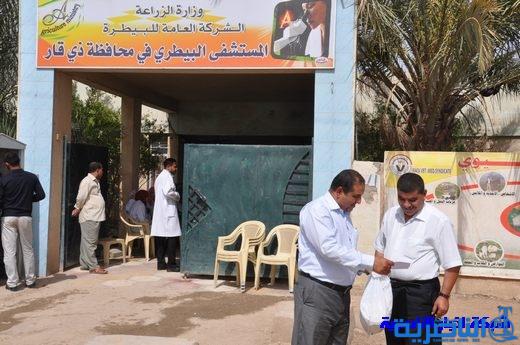  غلق خمس عيادات بيطرية مخالفة لضوابط العمل في ذي قار