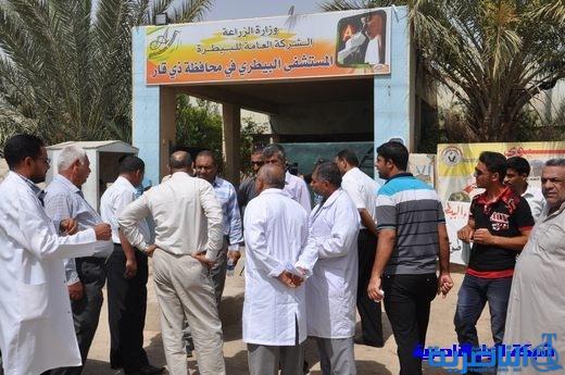 مستشفى البيطري ينفذ حملة للوقاية من مرض أنفلونزا الطيور في ذي قار