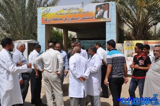 ذي قار تقدم خدمات بيطرية لاكثر من 3,5 مليون حيوان خلال ستة اشهر 