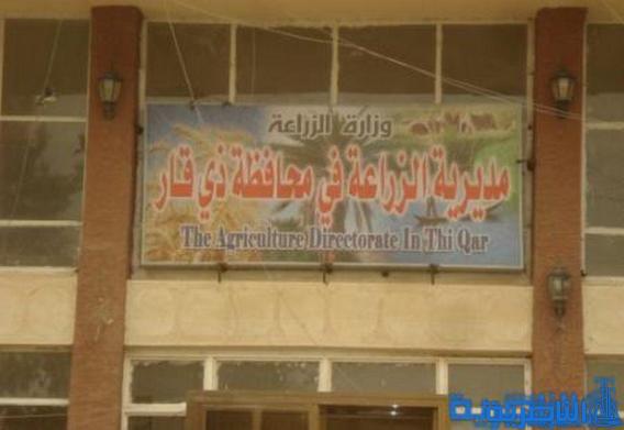 زراعة ذي قار تجهز المزارعين بستة الاف طن من بذور الحنطة والشعير