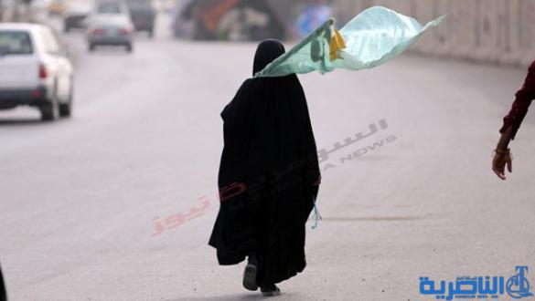 بالصور .. تكافل ودروس للإنسانية على طول الطريق الى كربلاء