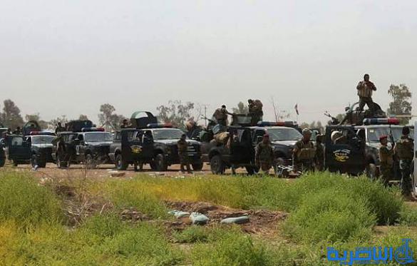 صور حصرية لمقاتلي ذي قار في ساحات المعارك ضد داعش في صلاح الدين