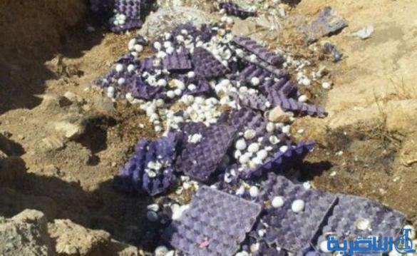 إتلاف 13 طنا من بيض المائدة غير الصالح للاستهلاك في ذي قار