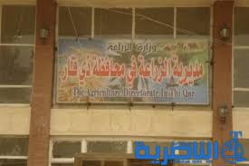 زراعة ذي قار تشكل لجان لتقدير غلة الحنطة استعدادا لموسم الحصاد