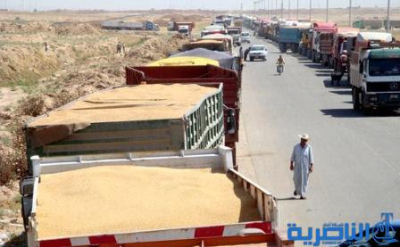 ذي قار تمنع إخراج الحبوب مع قرب انطلاق موسم التسويق