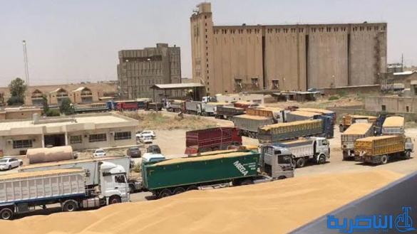 الزراعة: مستمرون بتسويق الحنطة، والأمطار الاخيرة أثرت على المحاصيل