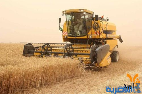 المثنى وذي قار تسوقان اكثر من 12 الف طن من الحنطة والشعير