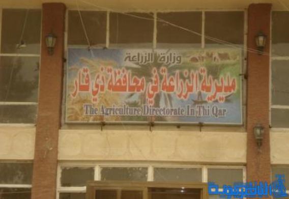 ذي قار تعلن المصادقة على الخطة الزراعية الشتوية باكثر من 500 الف دونم