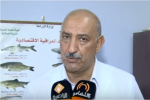 فيديو:زراعة ذي قار : كلف إنتاج الدجاج المحلي اكثر من المستورد