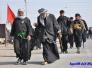 المواكب الحسينية في ذي قار تستمر في استقبال حشود الزائرين الزاحفة نحو كربلاء – تقرير مصور -