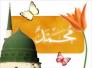 تهنئة بولادة الرسول الاكرم