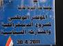 الديمقراطية والمشاركة السياسية