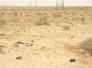 المباشرة برفع المقذوفات غير المنفقلة من حقل صبة النفطي في ذي قار