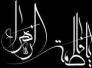 مؤسسة التراث في برلين ودعوة عامة لاحياء شهادة السيدة الزهراء سلام الله تعالى عليها مؤسسة التراث في برلين ودعوة عامة لاحياء شهادة السيدة الزهراء سلام الله تعالى عليها