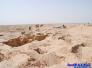 العثور على قطعة أثرية مصادفة ، يثير أزمة بين آثار ذي قار والقنصلية الفرنسية العثور على قطعة أثرية مصادفة ، يثير أزمة بين آثار ذي قار والقنصلية الفرنسية