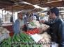 توعيات لقطاع الرفاعي / شعبة الرقابة الصحية حول الفطر البري المسموم