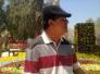 اختطاف نجم...The voice ...!؟/د.جواد التونسي