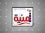 مشكلة خدمات شركة أمنية للاتصالات