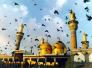 	{ سيقام مأتم العزاء السنوي في ذكرى شهادة الإمام الكاظم {عليه السلام{، /محمد الكوفي/ أبو جاسم.