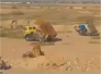 تقرير تلفزيوني:مواطنون في ذي قار يرحبون بانطلاق عمليات تحرير الانبار