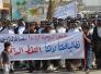  فلاحو ذي قار يتظاهرون للمطالبة باصلاح القطاع الزراعي - تقرير مصور -