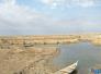 الجبايش تحذر : مياه الاهوار بدات تنخفض مع اقتراب ضمها للائحة التراث