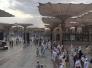 بعثة الحج تؤكد نجاحها باعادة الحج البري وتفويج اكثر من ستة الاف حاج بعثة الحج تؤكد نجاحها باعادة الحج البري وتفويج اكثر من ستة الاف حاج