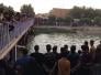 بالصور : زهرة النيل تتسبب بغرق صبي في قضاء الشطرة