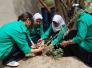 بيئة ذي قار تنظم حملة جديدة لتشجير المدارس والساحات العامة في الناصرية - تقرير مصور - جديدة لتشجير المدارس والساحات العامة في الناصرية - تقرير مصور -