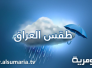 الانواء الجوية: غبار وامطار متفرقة خلال الاسبوع الحالي