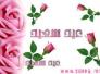 تهنئة مدير إعلام مجلس محافظة ذي قار