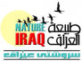  ذي قار : الصيد الجائر يهدد احد اندر انواع الطيور بالانقراض