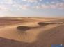 دائرة الكثبان الرملية تقترح خطة سنوية لتثبيت ‪1500‬ دونما