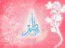 مولد الزهراء البتول (عليها السلام) في الاحاديث الشريفة -مجاهد منعثر منشد