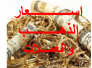 اسعار العملات والذهب في السوق المحلي في ذي قار ليوم الاربعاء