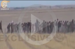 عملية نوعية لكتائب حزب الله أسر عدد كبير عن عناصر داعش في الانبار