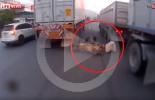 بالفيديو.. نجاة بطريقة خيالية لسائق دراجة نارية علق بين عجلات قاطرتين !