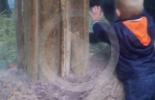 فيديو مضحك : طفل يلعب مع غوريلا صغيرة